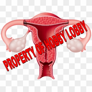 Uterus Property Of Hobby Lobby - Uterus Clipart