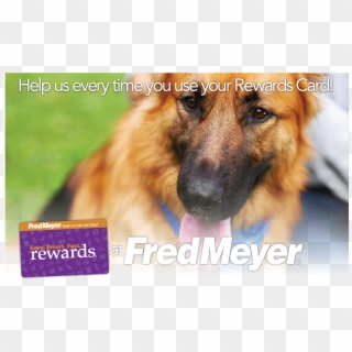 Fred Meyer Rewards Card & Clackamas Dogs Foundation - Old German Shepherd Dog Clipart