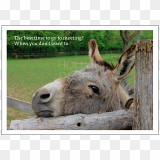 Donkey Best Time To Go A Meeting When You Don't Want - Don T Want To Go To Meeting Clipart