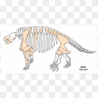 Dusty Sheds New Light - Herbivore Dinosaur Line Drawing Clipart