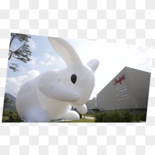 Starfield Hanam Shopping Theme Park Rabbit - Domestic Rabbit Clipart