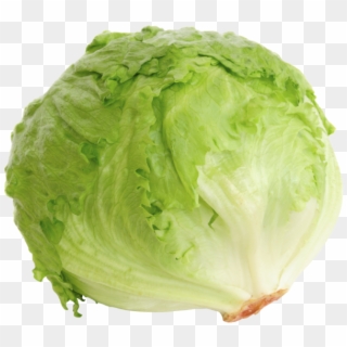 Head Of Lettuce Png Clipart