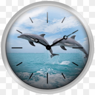Common Bottlenose Dolphins Jumping In Air Caribbean - Bottlenose Dolphin Clipart