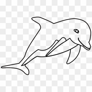 Png - Dolphin Clipart Black And White Transparent Png