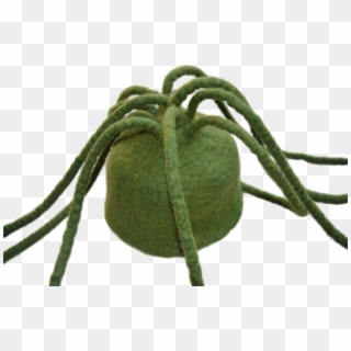 Felt Hat - Insect Clipart