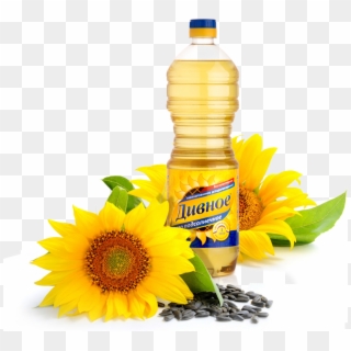 Download - Sunflower Oil Clipart