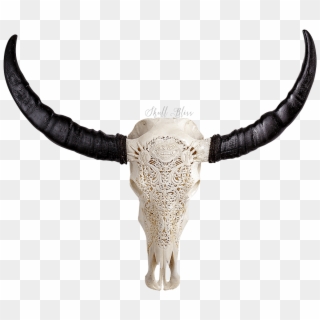 Longhorn Skull Png - Bull Skull Demon Clipart