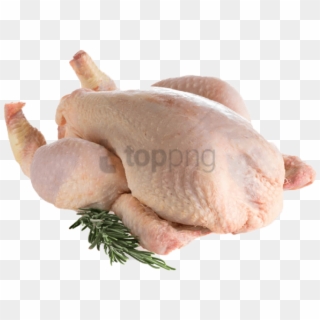 Free Png Chicken Meat Png Png Image With Transparent - Chicken Images Png Hd Clipart