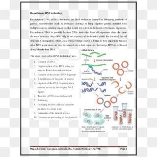 Pdf - Construction Of C Dna Library Clipart