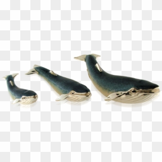 Saturno S/silver Blue Back Whale Trio - Earrings Clipart