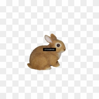 Bunny Rabbit Png - Domestic Rabbit Clipart