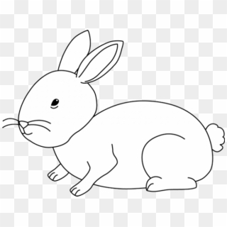 Bunny Rabbit Black And White Clipart - Png Download