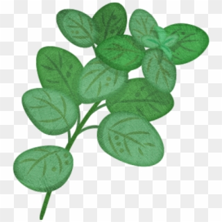 Oregano Plant Clip Art - Png Download