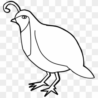 Dove Clipart Template - Clipart Black And White Quail Png Transparent Png