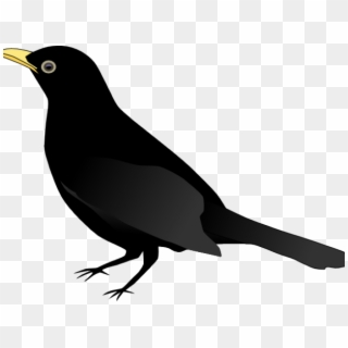 Blackbird Clipart Flying Dove - صوره طائر اسود - Png Download