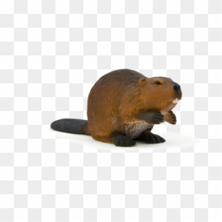 Animal Planet Beaver - Bóbr Figurka Clipart
