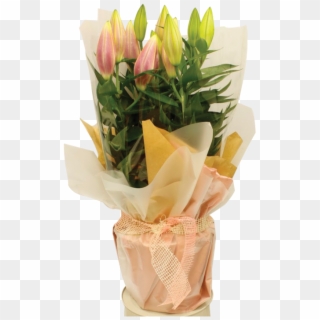 Lily Pot Gift Wrap 1600 - Bouquet Clipart