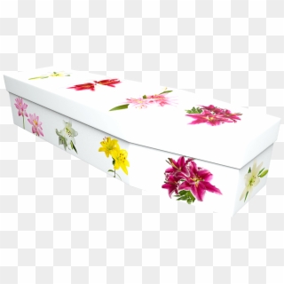 Lily Cardboard Coffin - Box Clipart
