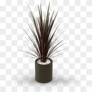 29 Am 266591 A T 6/18/2016 - Agave Clipart