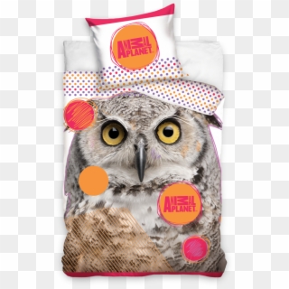 Information About Product - Owls With White Background Clipart
