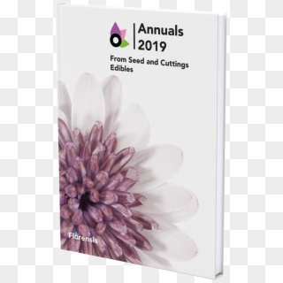 View Catalogue - African Daisy Clipart