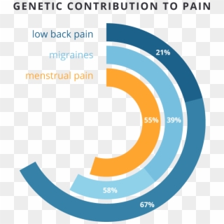 Genetic Contribution To Pain Chart - Graphic Design Clipart