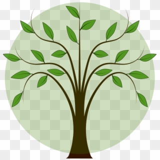 Leaves Branch Leaf - Tree With Leaf Drawing Clipart
