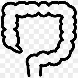 Png File Svg - Large Intestine Icon Png Clipart