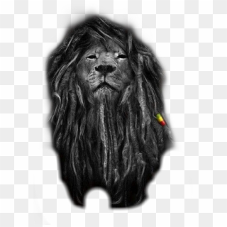 #leão #leo #lion #jah #reggae - Rasta Lion Clipart