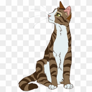Warrior Cats Designs - Warrior Cats Drawings Leafpool Clipart