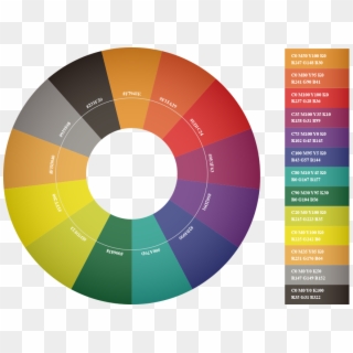 Colour Guide - Circle Clipart