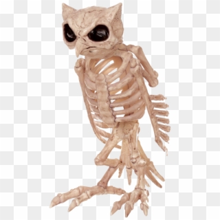 Skeleton Owl - Owl Skeleton Clipart
