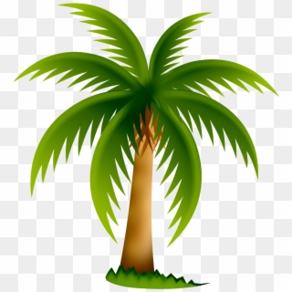 Palmeira Png - Palm Tree Clip Art Transparent Png