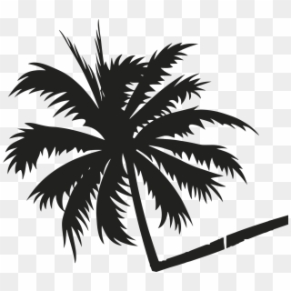 Palmeirapreta - Beach Palm Tree Png Clipart