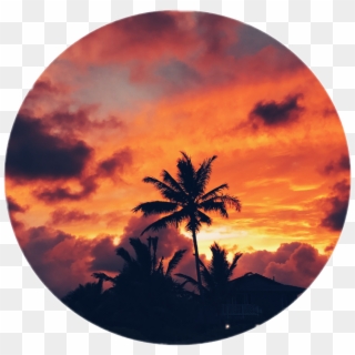 Palmeira Sticker - Sunset Clipart
