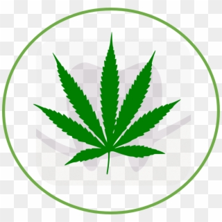 Toronto Maple Leafs Weed Clipart