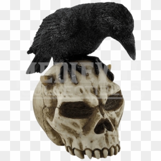 Crow Shift Knob Clipart