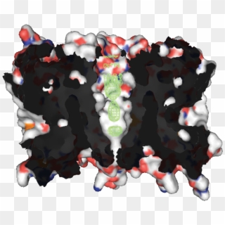 Aquaporin Z - Aquaporin Quaternary Structure Clipart