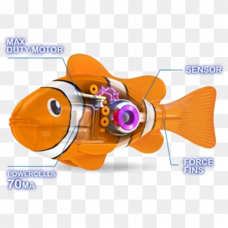 3/4 Real-life Pets - Cartoon Clipart
