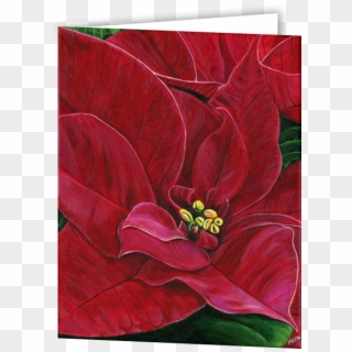 Poinsettia Passion Greeting Cards - Poinsettia Clipart