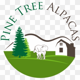 Pine Tree Alpacas - Pine Tree Silhouette Clipart