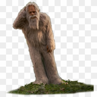 Image 1 Image 2 - Rhesus Macaque Clipart