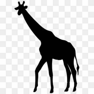 Giraffe Animal The Silhouette Safari Africa - Siluet Jerapah Clipart