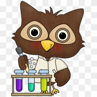 Summer Camp July Silly Science Lab Early - Science Owl Clipart - Png Download