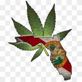 Amendment 2 On Florida's Ballot Was Passed By 71% Of - Florida State Flag Clipart