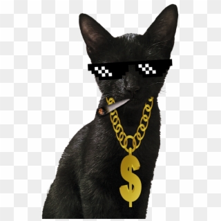 Tagged "mug Life" Crazy Cat Crack - Black Cat Clipart