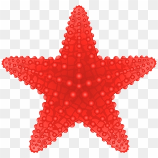 Starfish Transparent Png Clip Art Image - Starfish Clipart Png