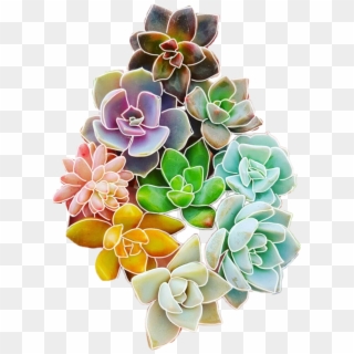 Flowers Sticker - Cute Colorful Succulents Clipart