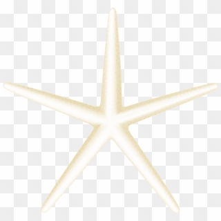 Free Png Download Starfish Transparent Clipart Png - Starfish
