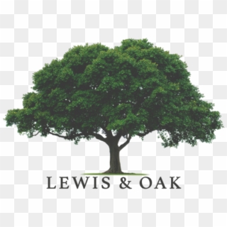 Oak Tree Format=1500w Clipart